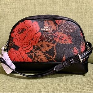 COACH Thorn Roses Dome Crossbody (Black Red Multi/Silver)